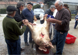 <b>Ruivães</b><br><i>Matança do porco bízaro</i>