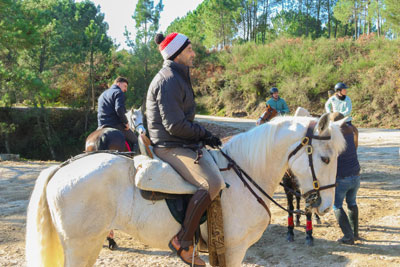 Passeio equestre de fim-de-ano 