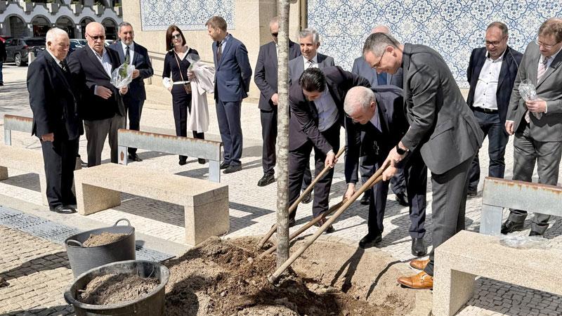 Plantação de tília em São Bento marca Dia da Árvore