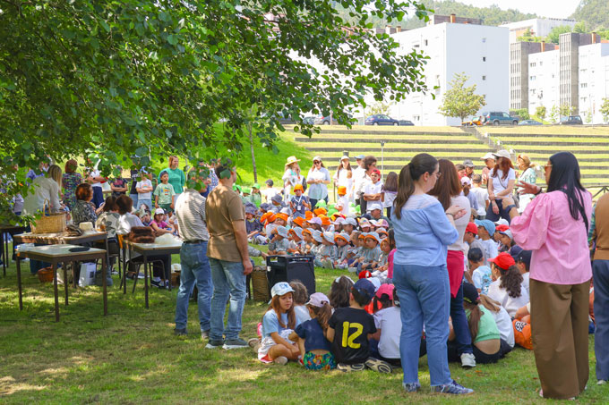Município dá a conhecer ciclo da lã a cerca de  595 crianças