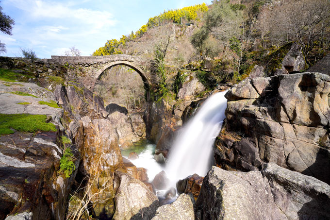 “Misarela – A Ponte da Fraternidade”