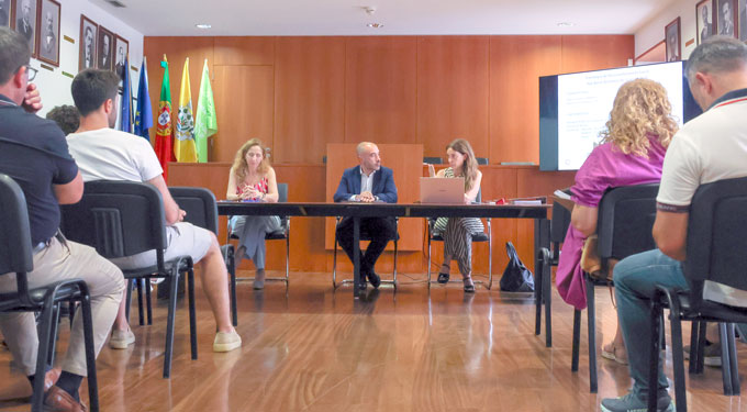 Apoios ao empreendedorismo e às empresas