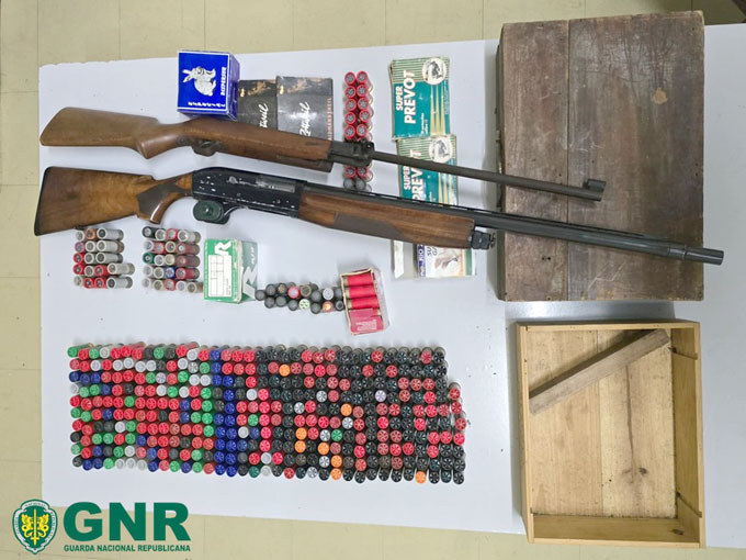 Apreensão de armas por violência doméstica 