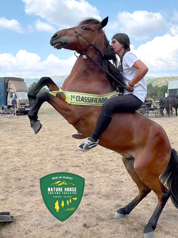 Cavalo Garrano animou Vieira do Minho