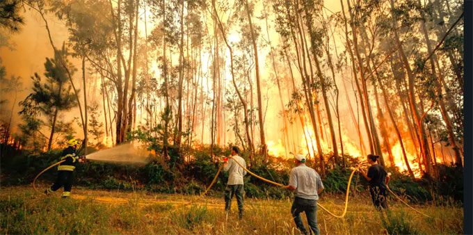 Fogos florestais chegaram em Setembro a Vieira do Minho 